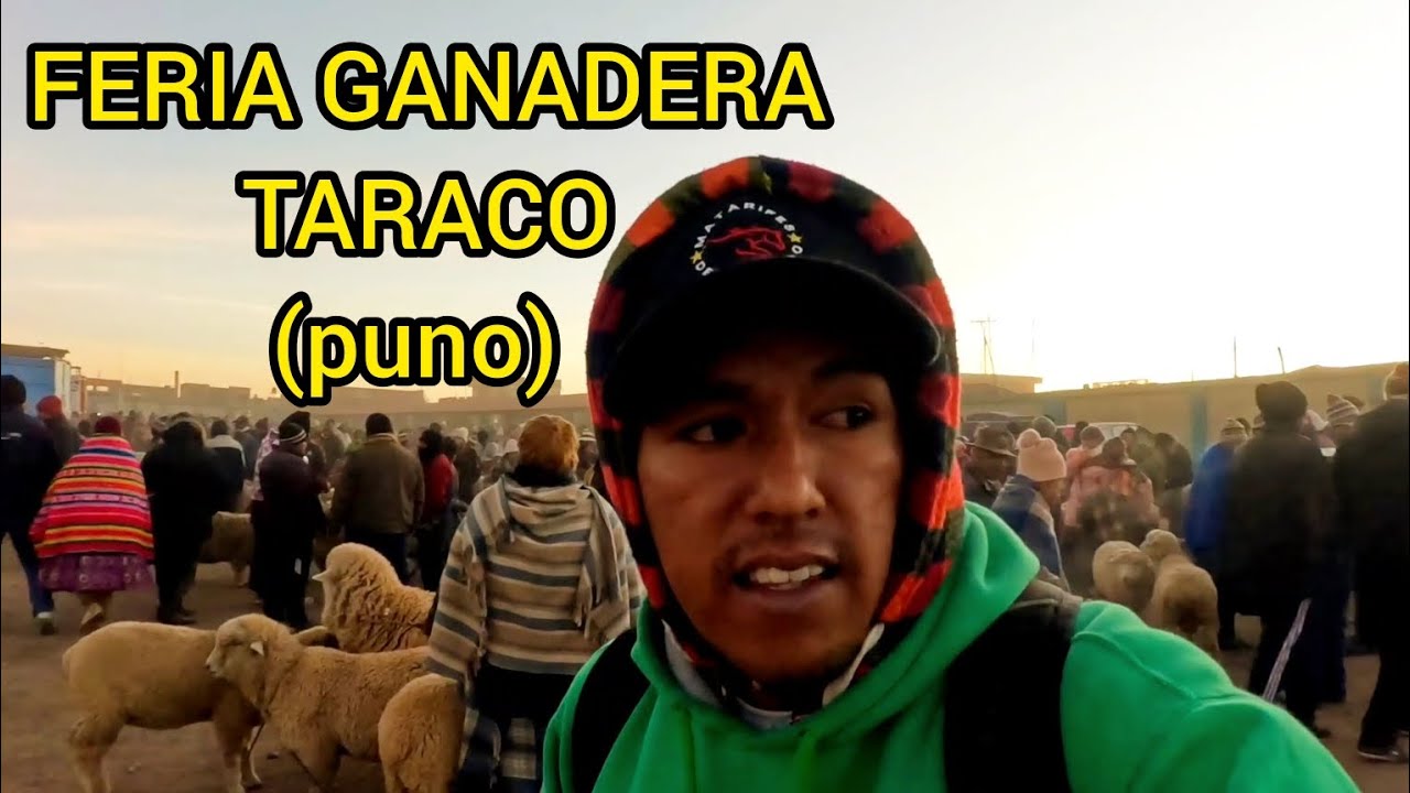 PORCINO- EQUINO - VACUNO - OVINO ETC... FERIA GANADERA EN TARACO PUNO -PERÚ  PART 1 - (1/2).