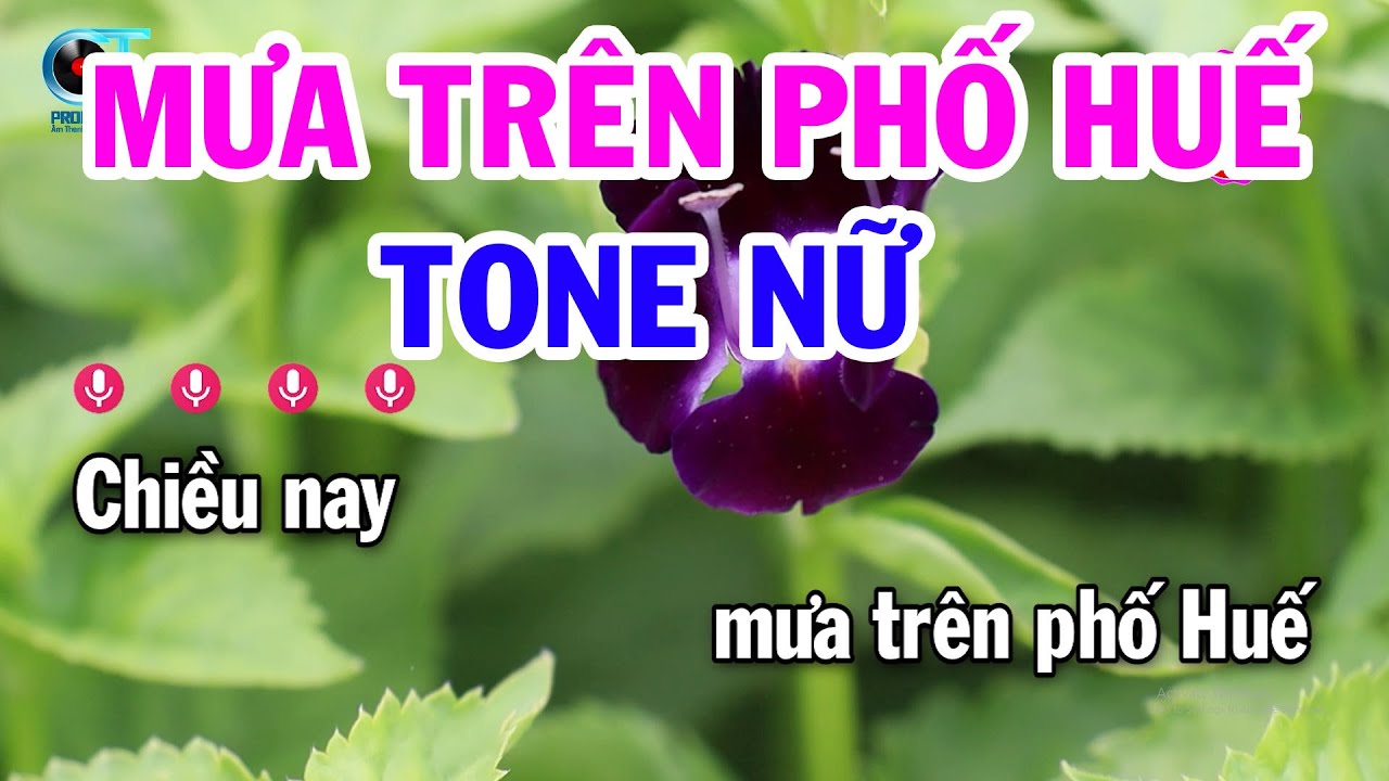 Karaoke Mưa Trên Phố Huế Tone Nữ Nhạc Sống | Đại Lý Karaoke