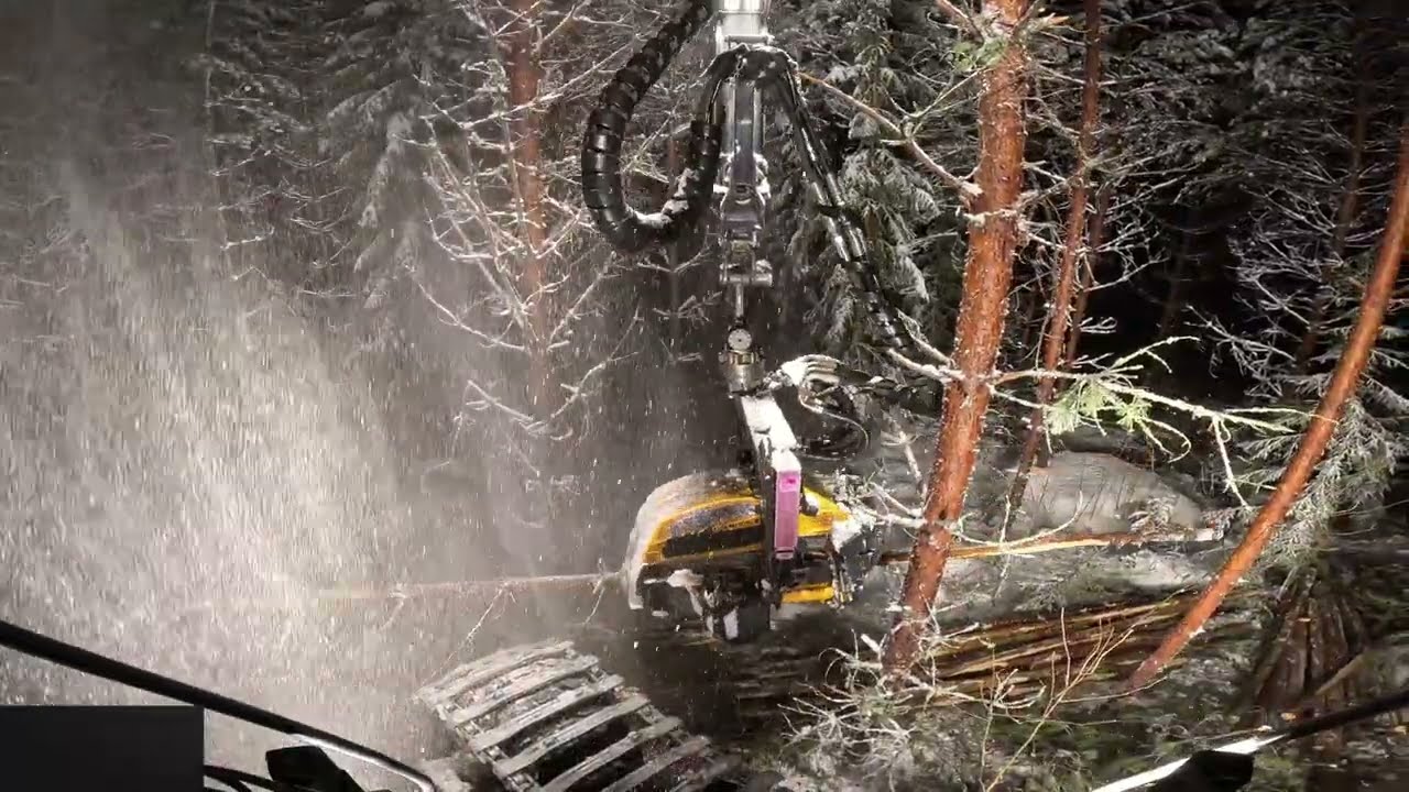 Ei selityksiä. Mänty ensiharvennusta lumisessa pimeässä metsässä.