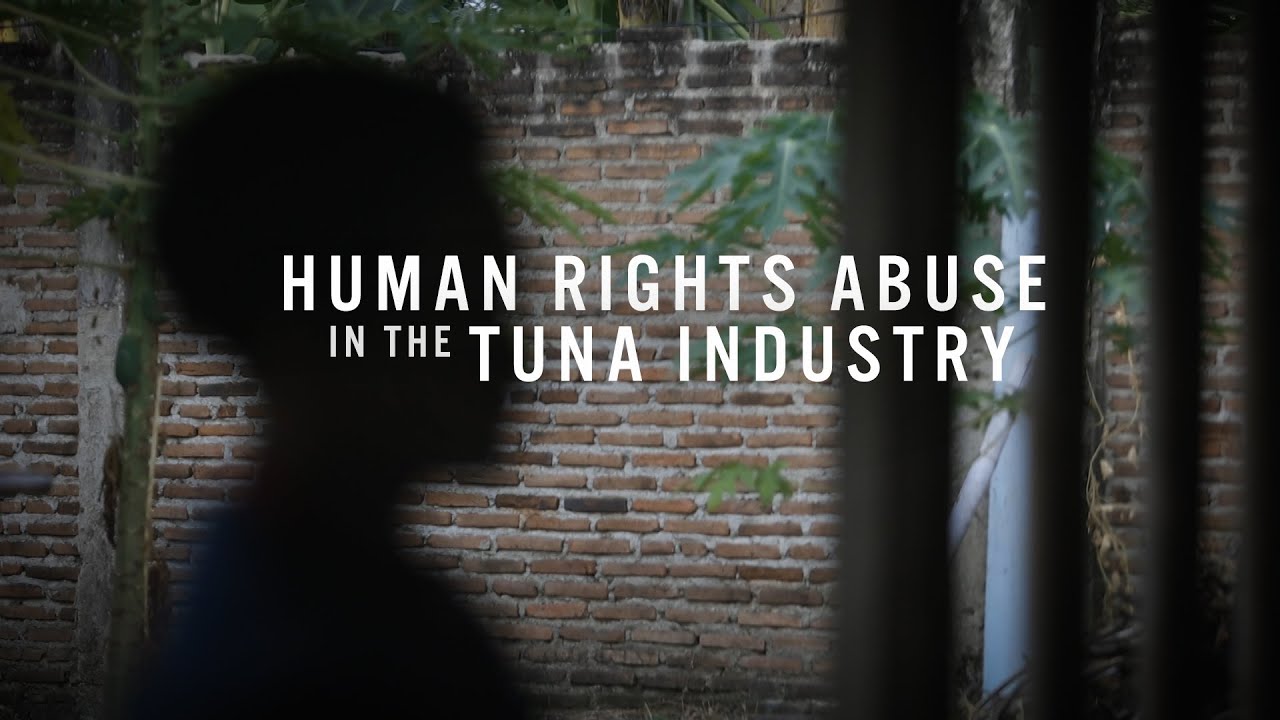 Human rights abuse in Japan's tuna industry