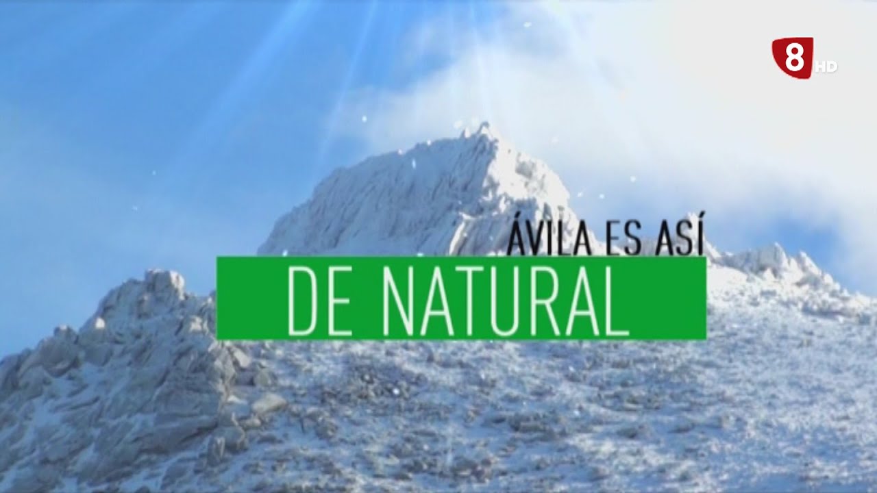 ÁVILA ES ASÍ DE NATURAL. CEBREROS 14-01-2026