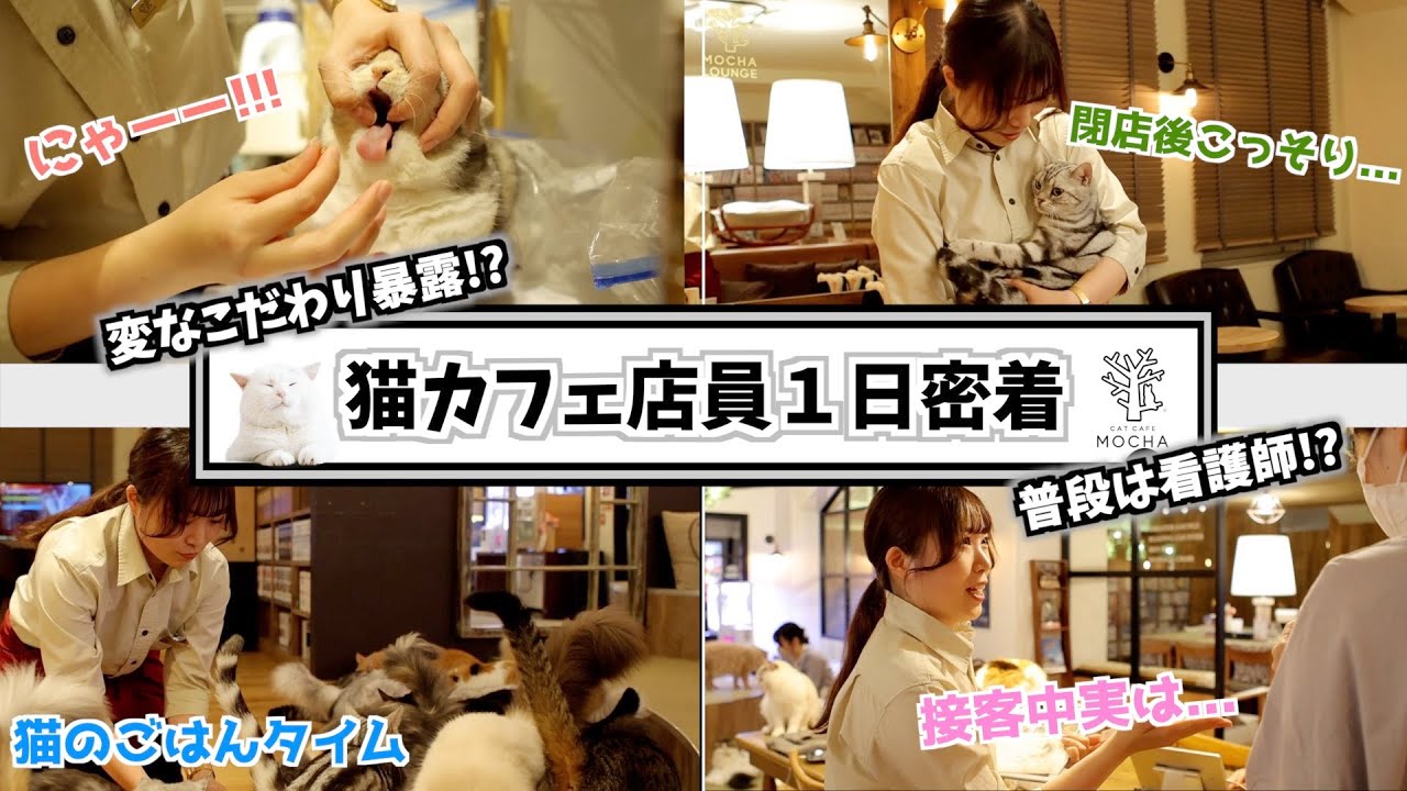 副業猫カフェ店員!? 変なこだわりあるスタッフに密着。