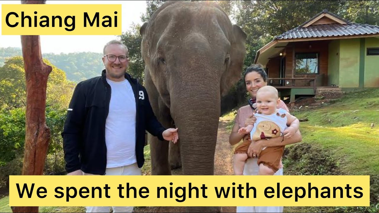 We spent the night with elephants!! Chiang Mai Elephant Friends. Day 1