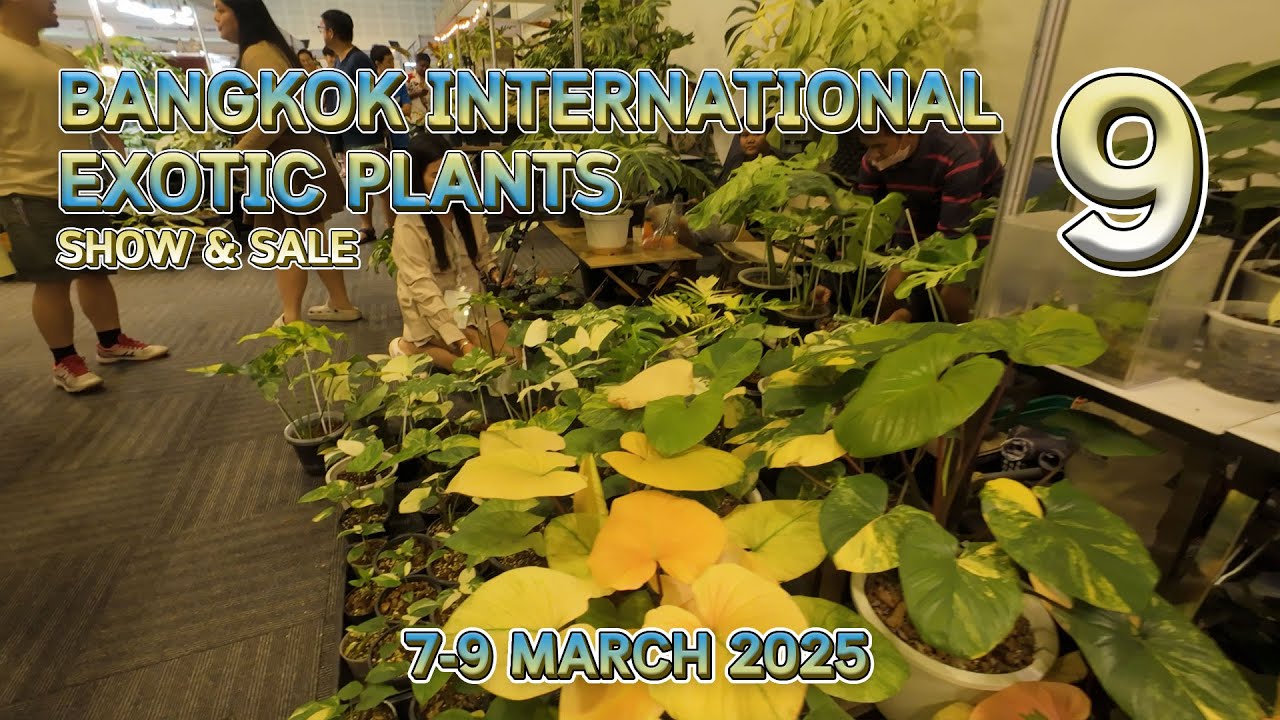 Bangkok International Exotic Plants Show and Sale 9 | 7-9 March 2025 EP.2