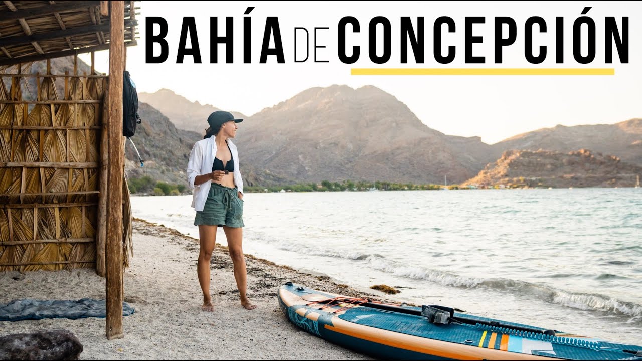 Unforgettable Paddle With Dolphins In Baja