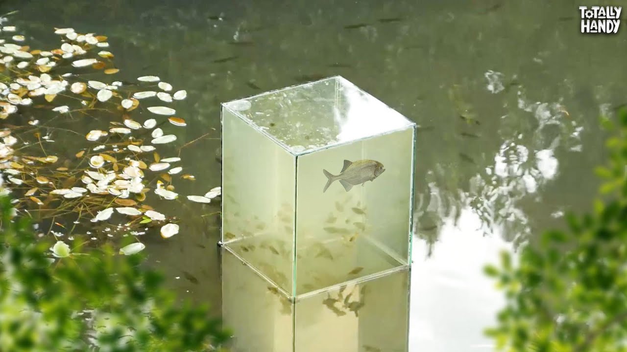DIY Fish Tower With Simple Tool | Backyard Project