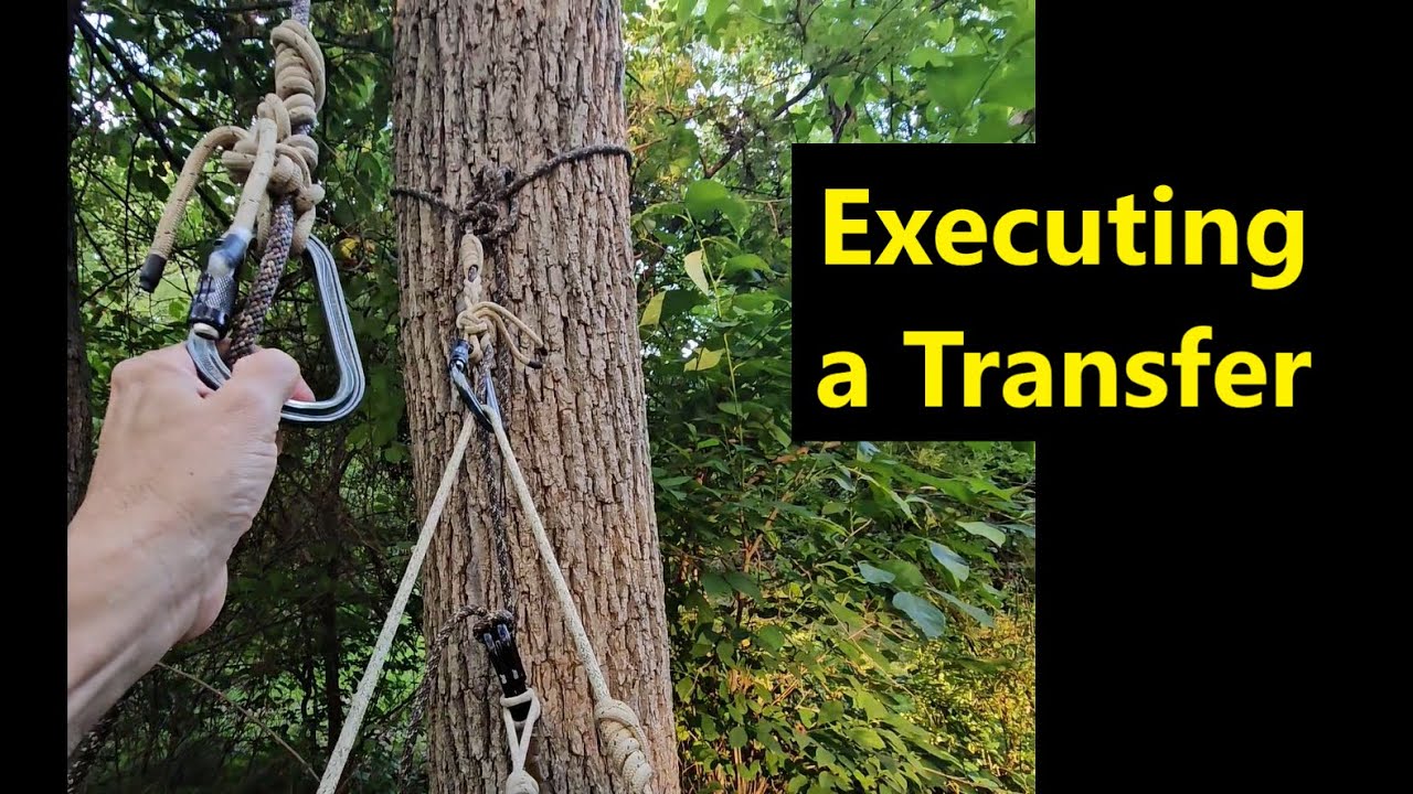 Executing a Transfer