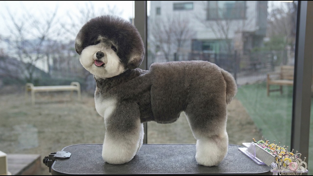 날이 추워 털옷 입혀줬습니다