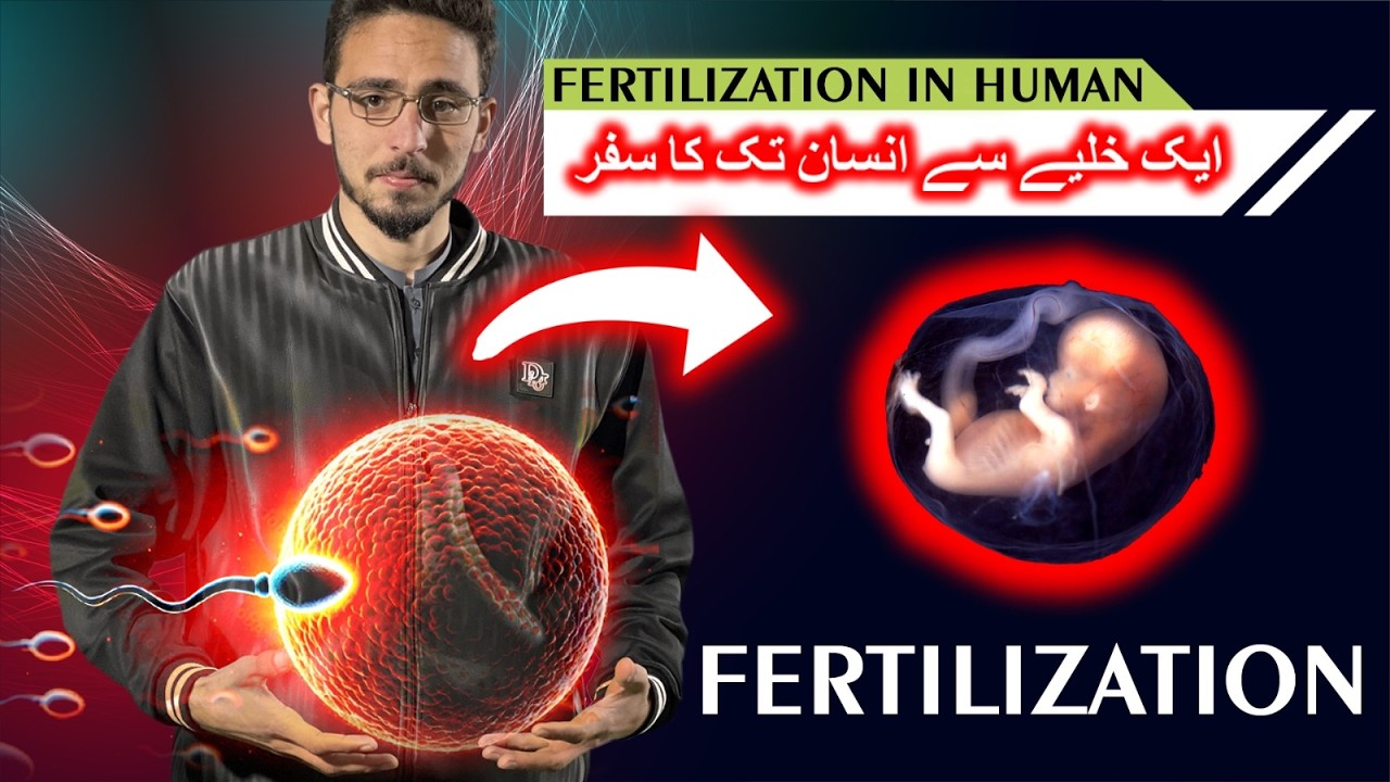 Fertilization in human||ایک خلیے سے انسان تک کا سفر||syngamy||capacitation of sperm