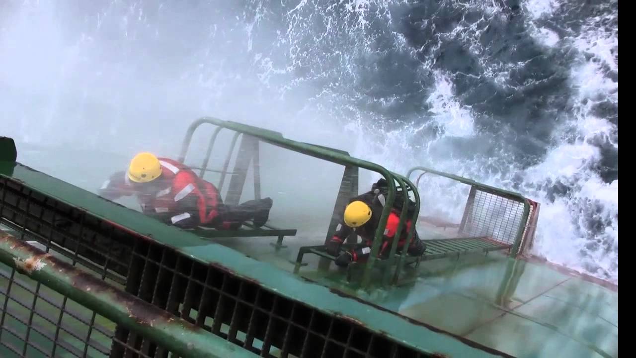 Greenpeace - 40 anos