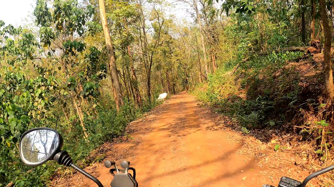 #Dandeli offroad interior forest #karnataka #riderlife