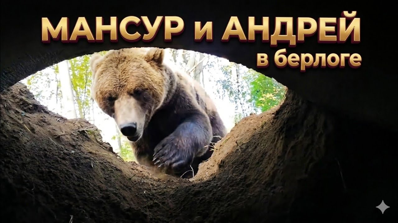 Маленький Мансур роет берлогу🐻Little Mansur digs a den 