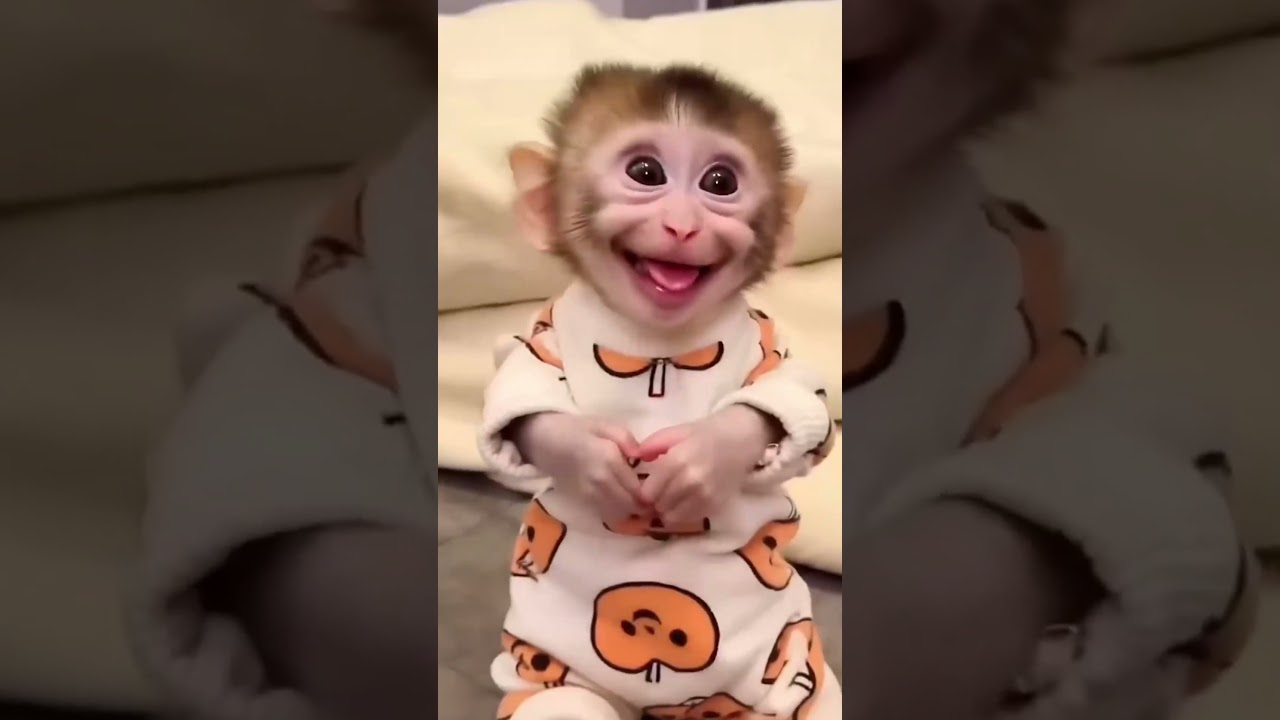 Я люблю тебя ❤️ Том и Джерри #шорты