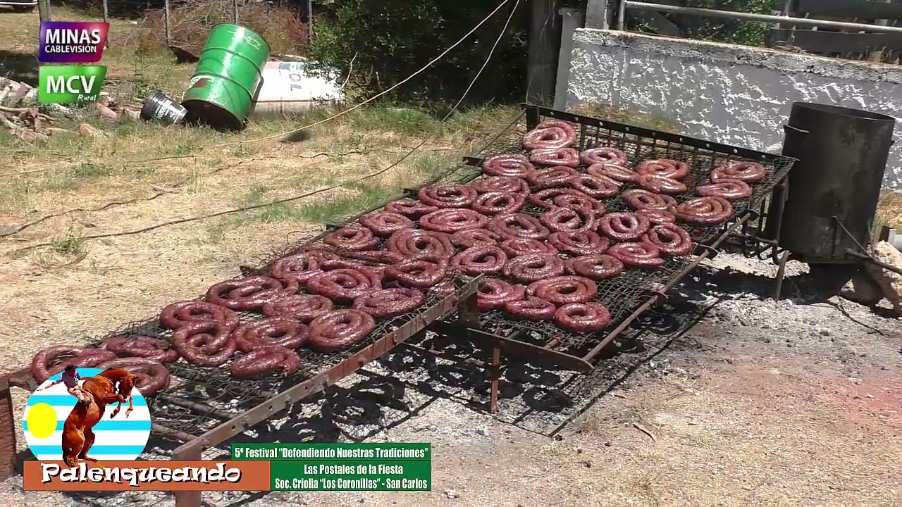 programa 17 de enero de 2026