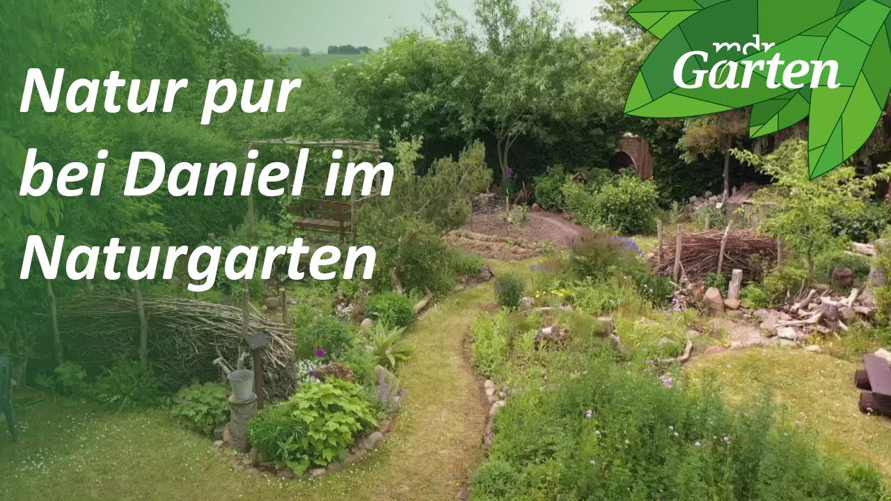 Ein Naturgarten bei Leipzig | MDR Garten