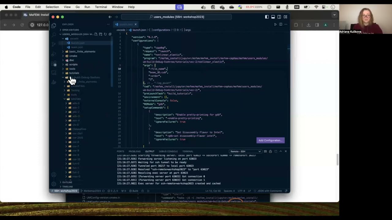 Debugging setup in MoFEM Docker container