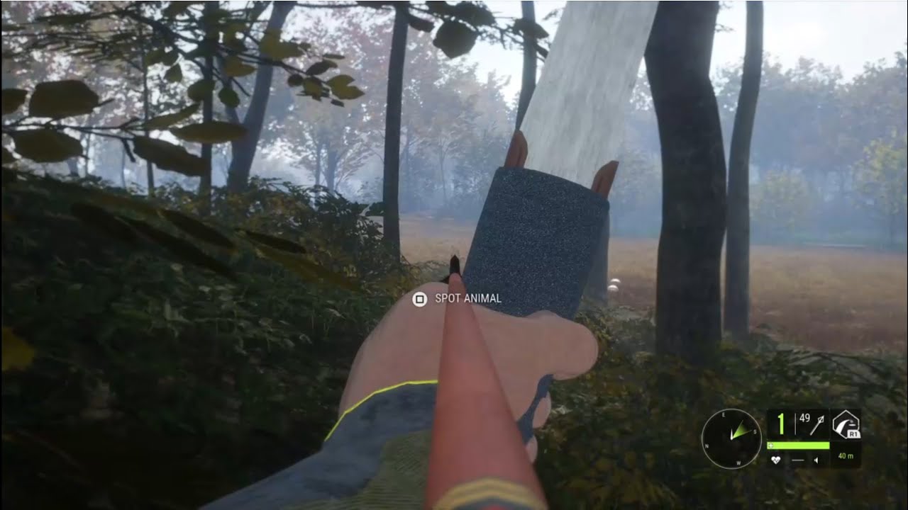 CotW: Hunting with the longbow, trying to get heart shots