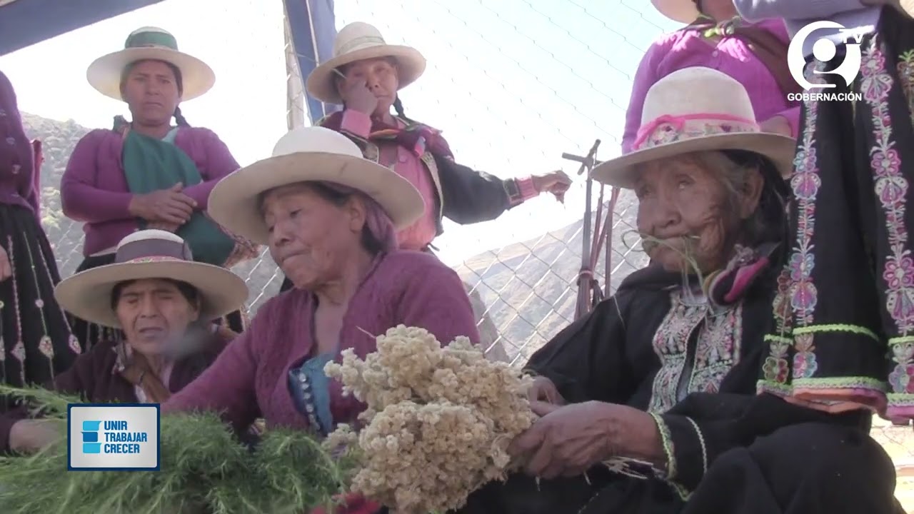 Tacopaya tierra de plantas medicinales y emprendimientos