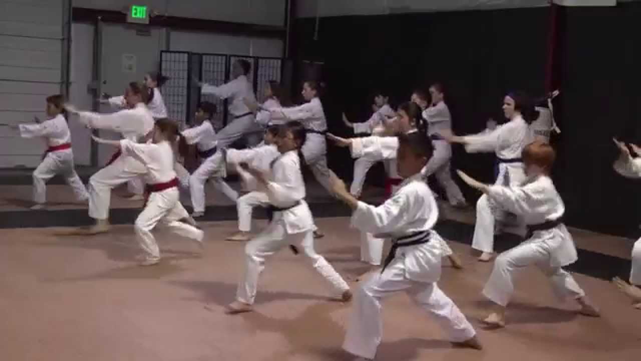 Kanzen Karate Do 7 Minute Introduction