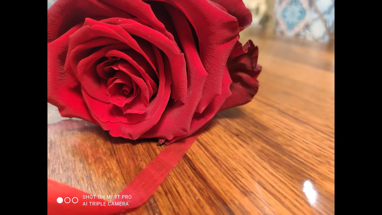 COMMENT FAIRE SÉCHER LES ROSES - CUSINE MALIYA - طريقتي لتجفيف الورد الطبيعي و تزيين  الحلويات بها