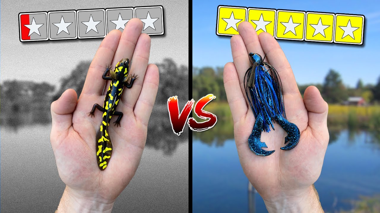 WORST LURES vs BEST LURES Bass Fishing Challenge! (INSANE)