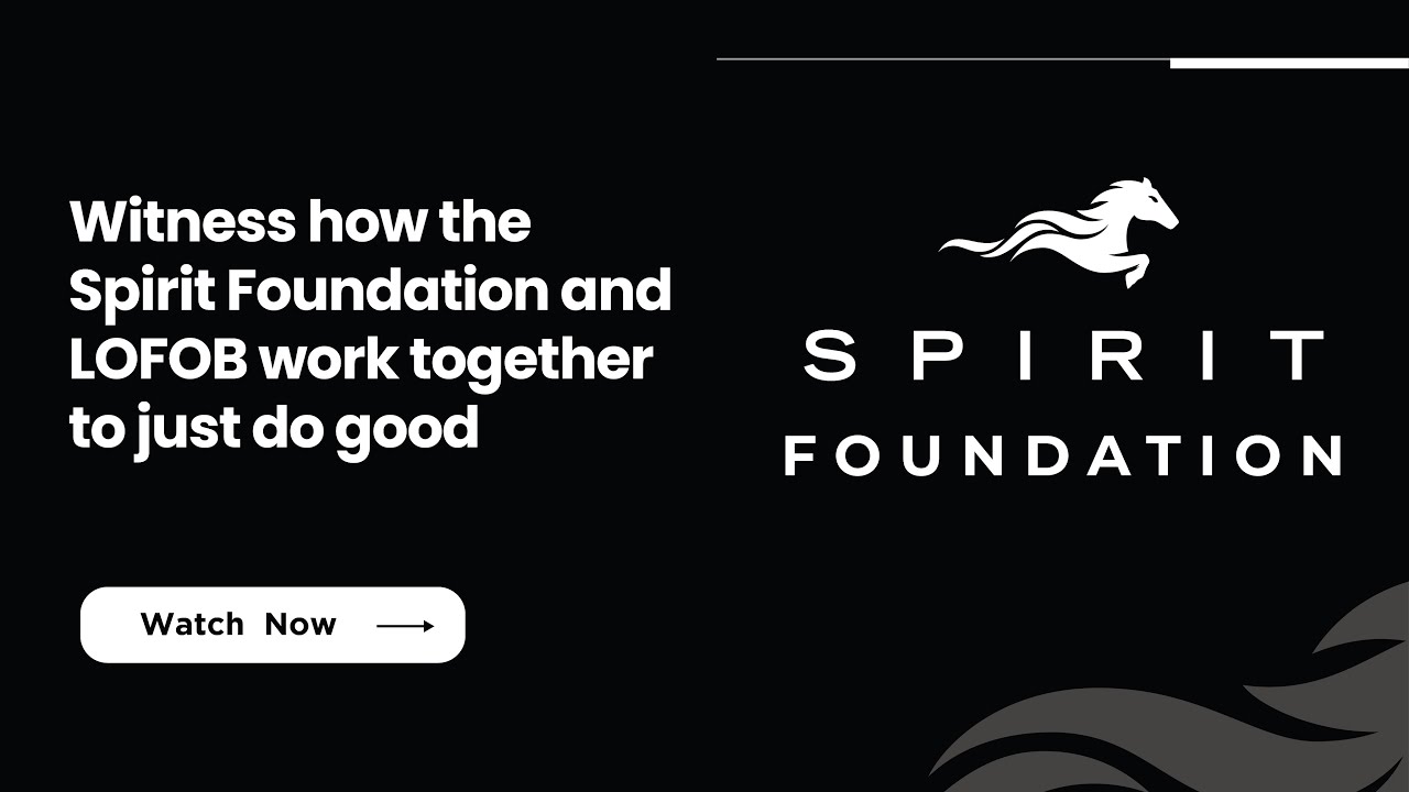 A unique and powerful partnership supporting blind and visually impaired people.