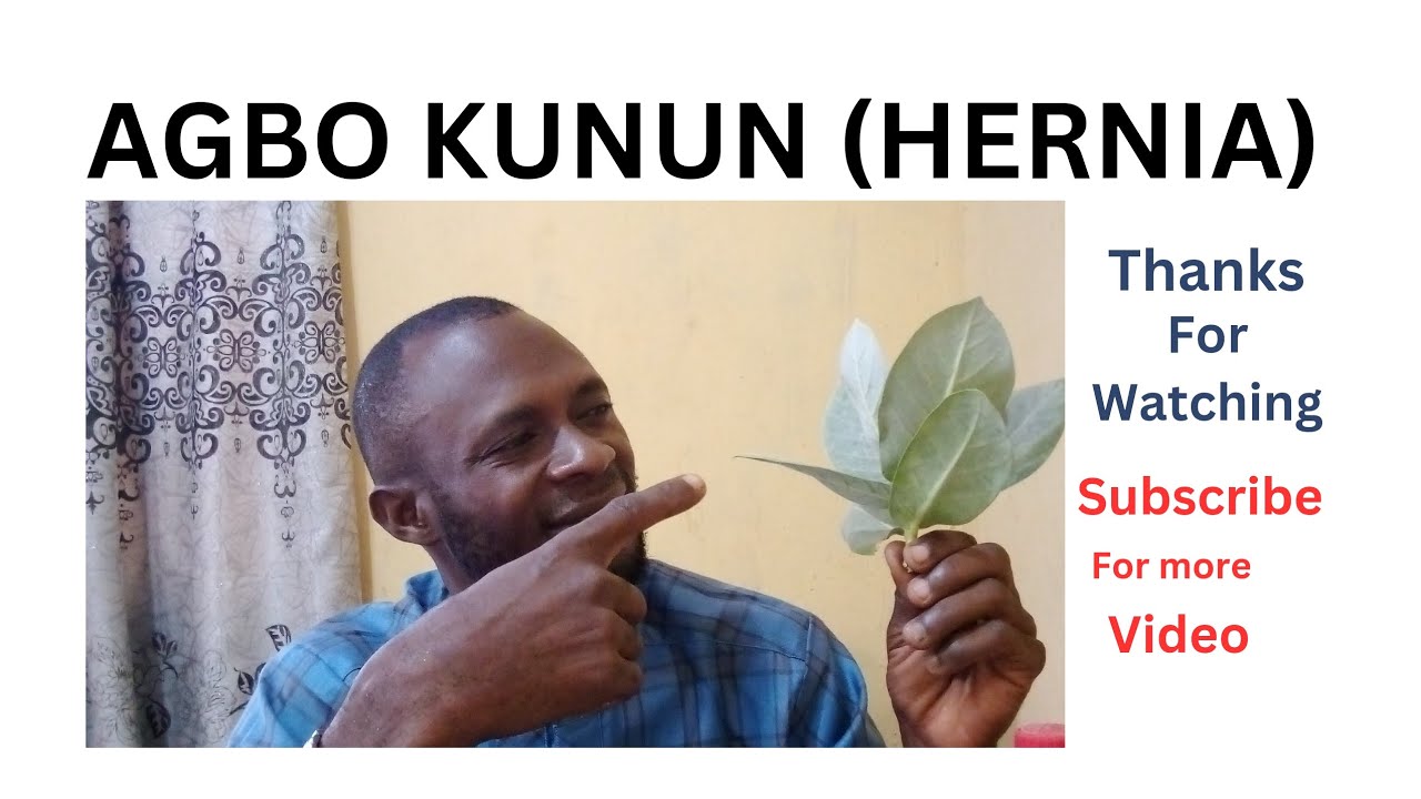 AGBO KU'NUN(hernia)#america