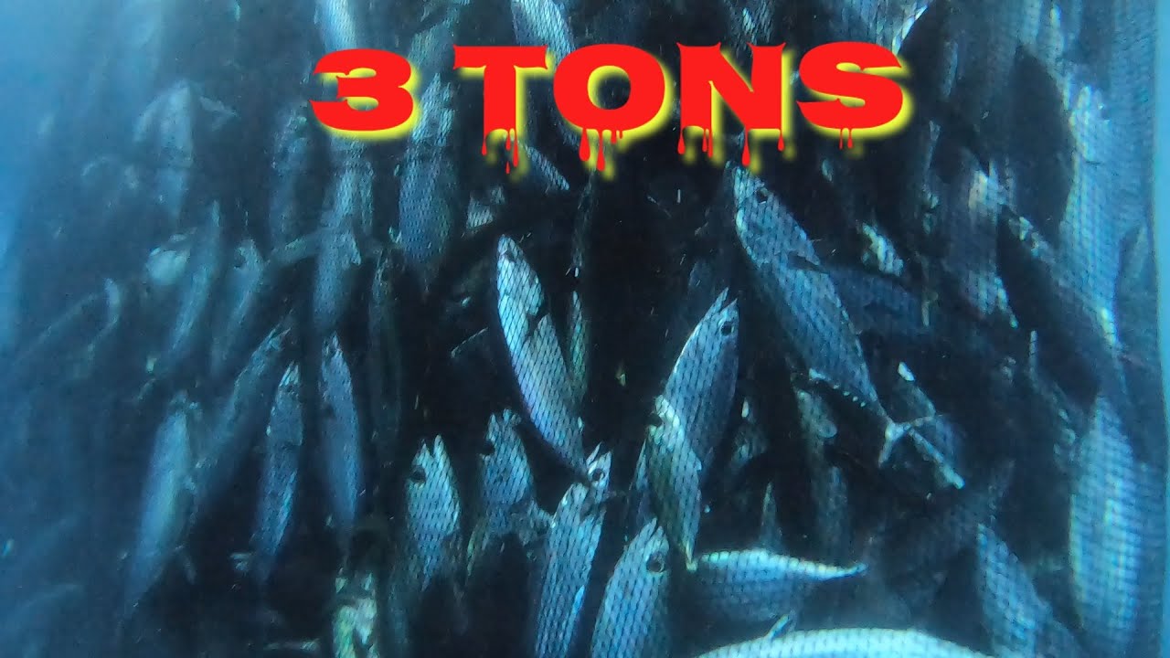Tumatagingting Halos 3 Tolenada Apaw na sa isang Bodega