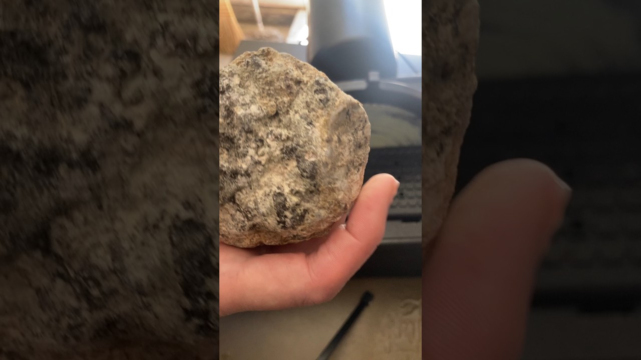Geode Cut: Arizona Rock Shop