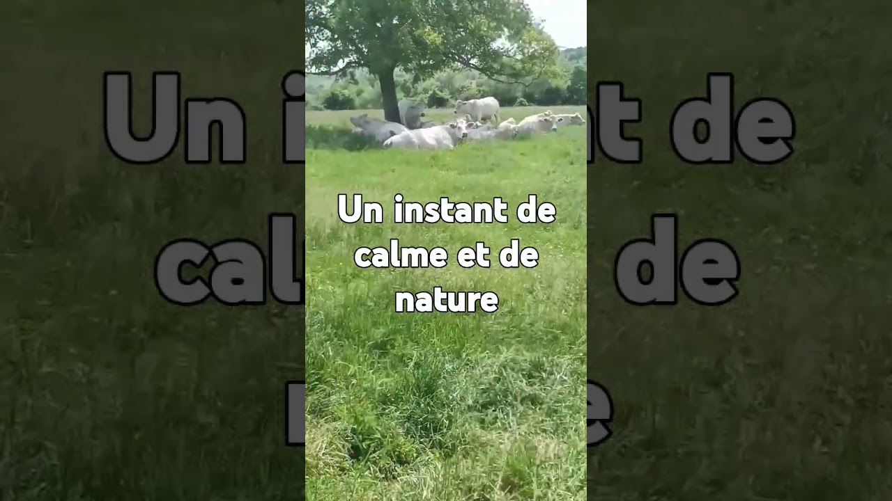 inspirez, soufflez, d&eacute;tendez vous