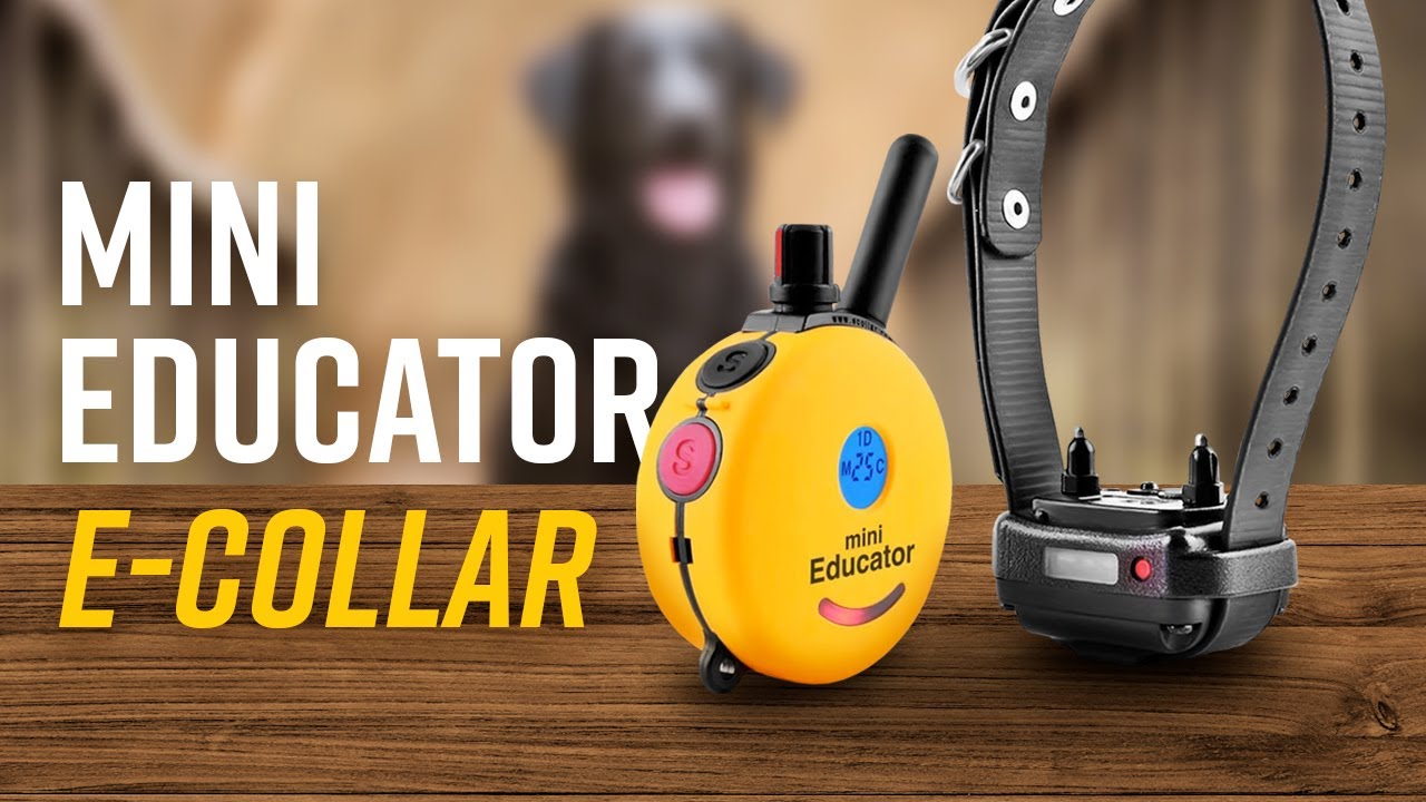 E-Collar Technologies: Мини-ошейник ET-300