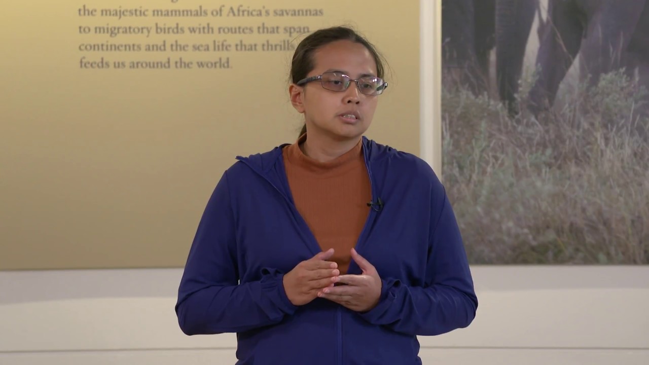 Reshaping Indonesia’s Small Scale Fisheries
