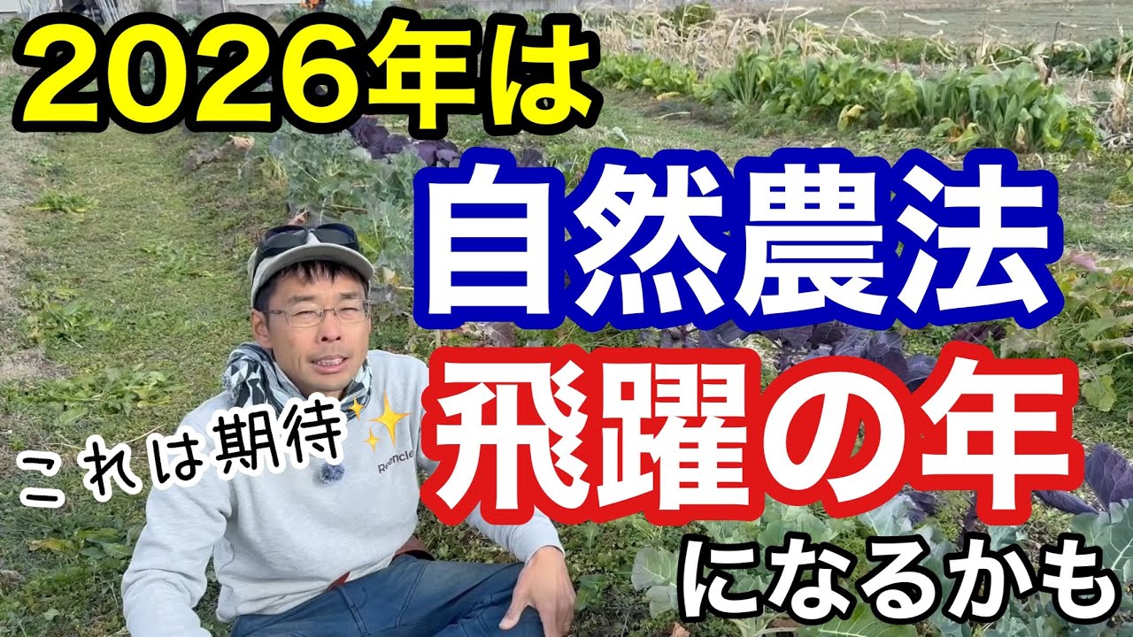 機械化&大規模化で自然農法普及の兆しアリ！《農業》