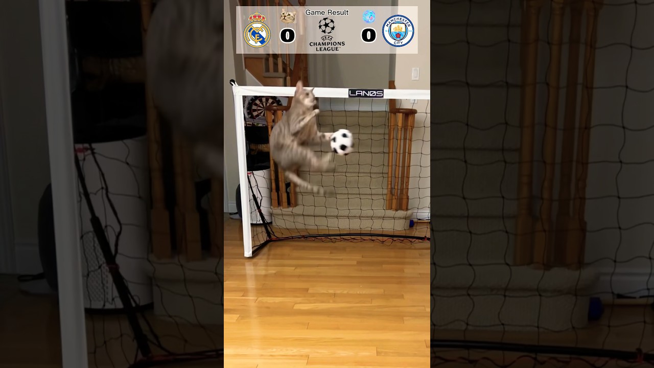 Cat Goalie - Real Madrid Vs Man City | 2023 UEFA Semi-final Leg 2 #cat #fyp