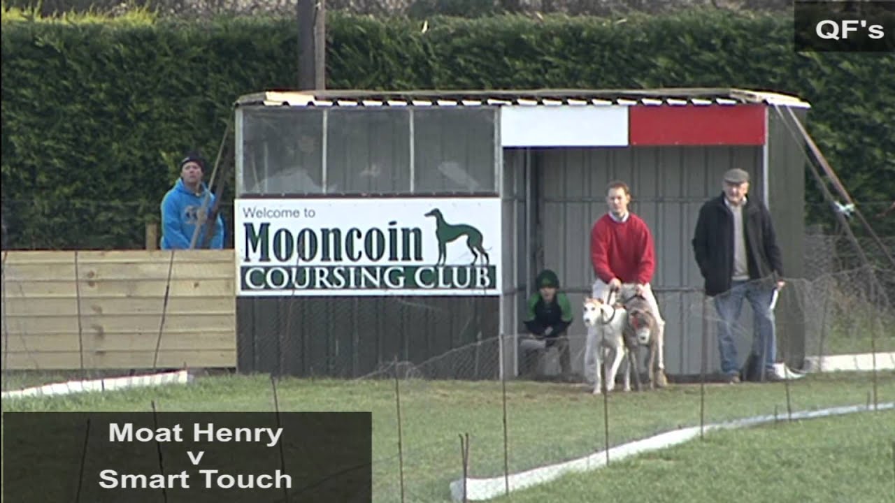 2013 Mooncoin- All Aged Stake