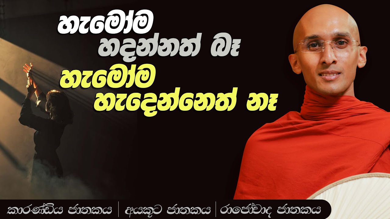 176. හැමෝම හදන්නත් බෑ හැමෝම හැදෙන්නෙත් නෑ | කාරණ්ඩිය ජාතකය | අයකූඨ ජාතකය | රාජෝවාද ජාතකය