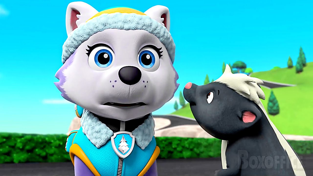 Everest becomes friend with a SKUNK | PAW Patrol Series | CLIP