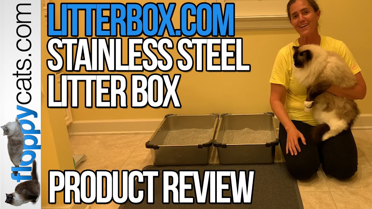 Stainless Steel Litter Box Product Review