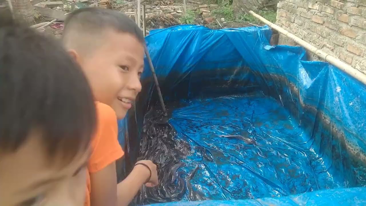 Mari kita Bersih-bersih Kolam Lele