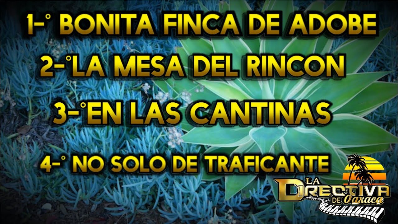 POPURRI NORTEÑAS✓LAS MAS PERRONAS PARA ☝️NO PARAR DE BAILAR👍🇲🇽★★★