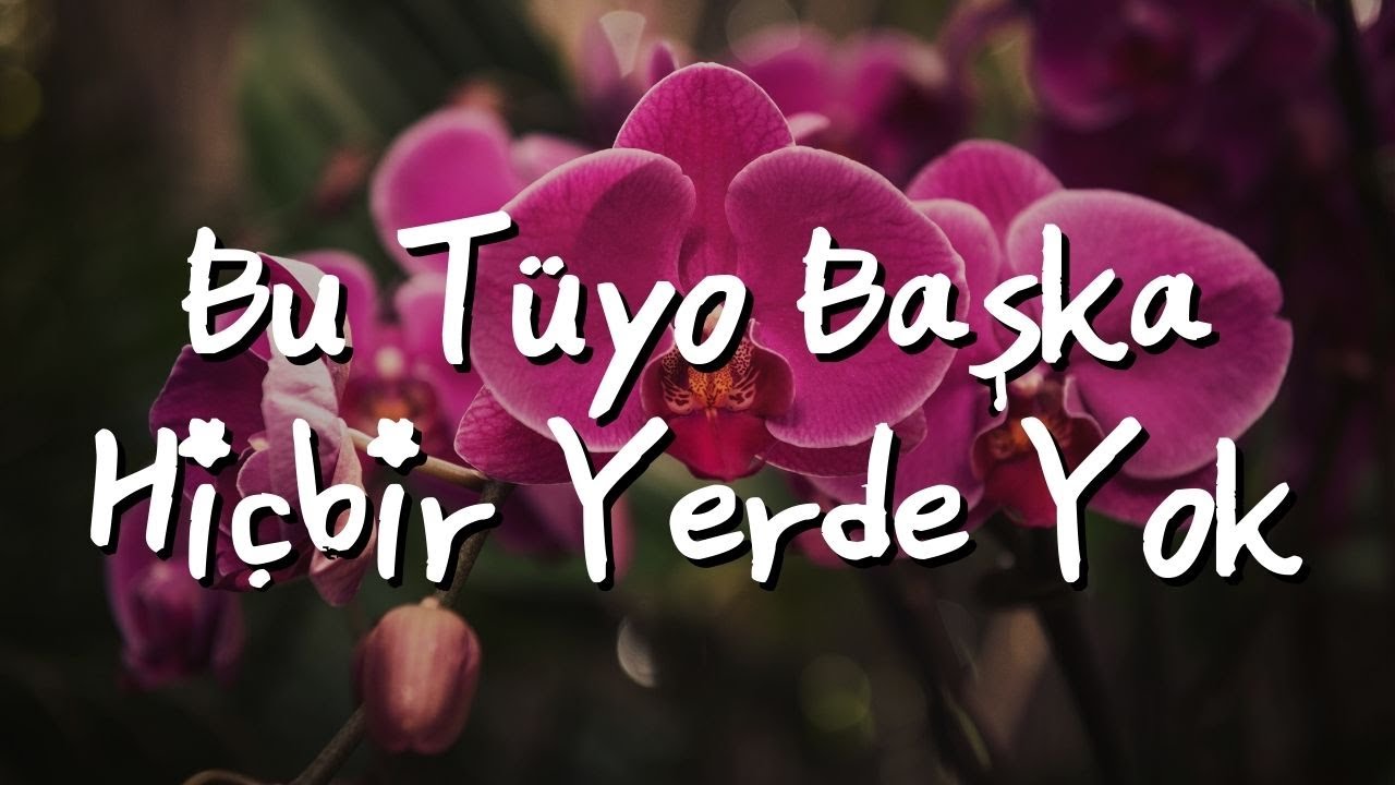 ORKİDEYİ SU KÜLTÜRÜNE ALMAK | ORKİDE BAKIMI