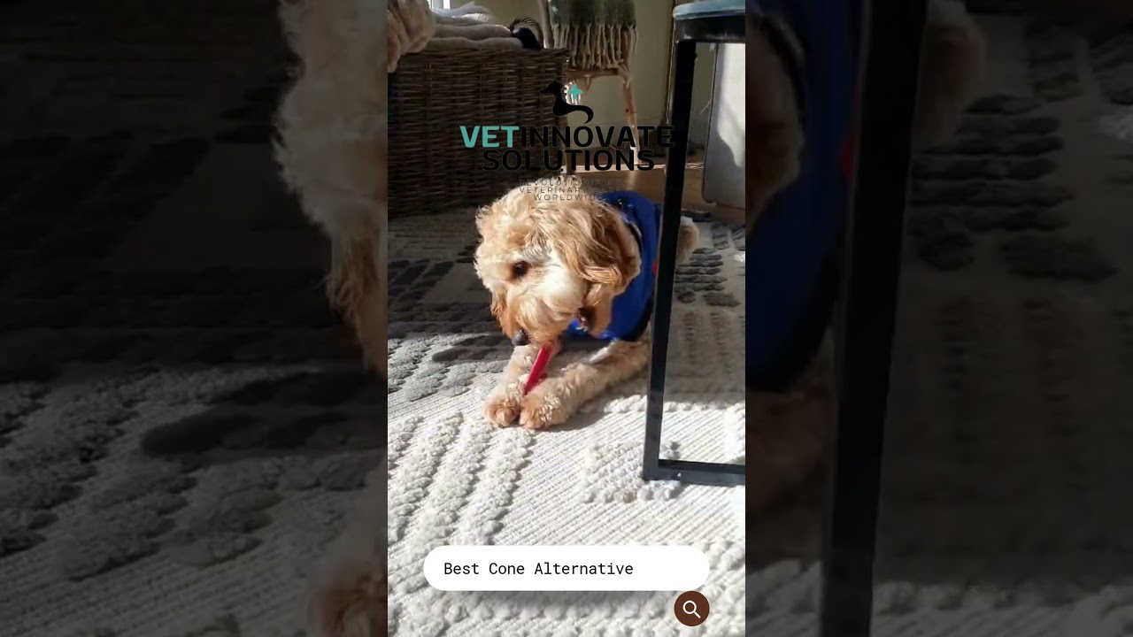 Best Cone Alternative 1