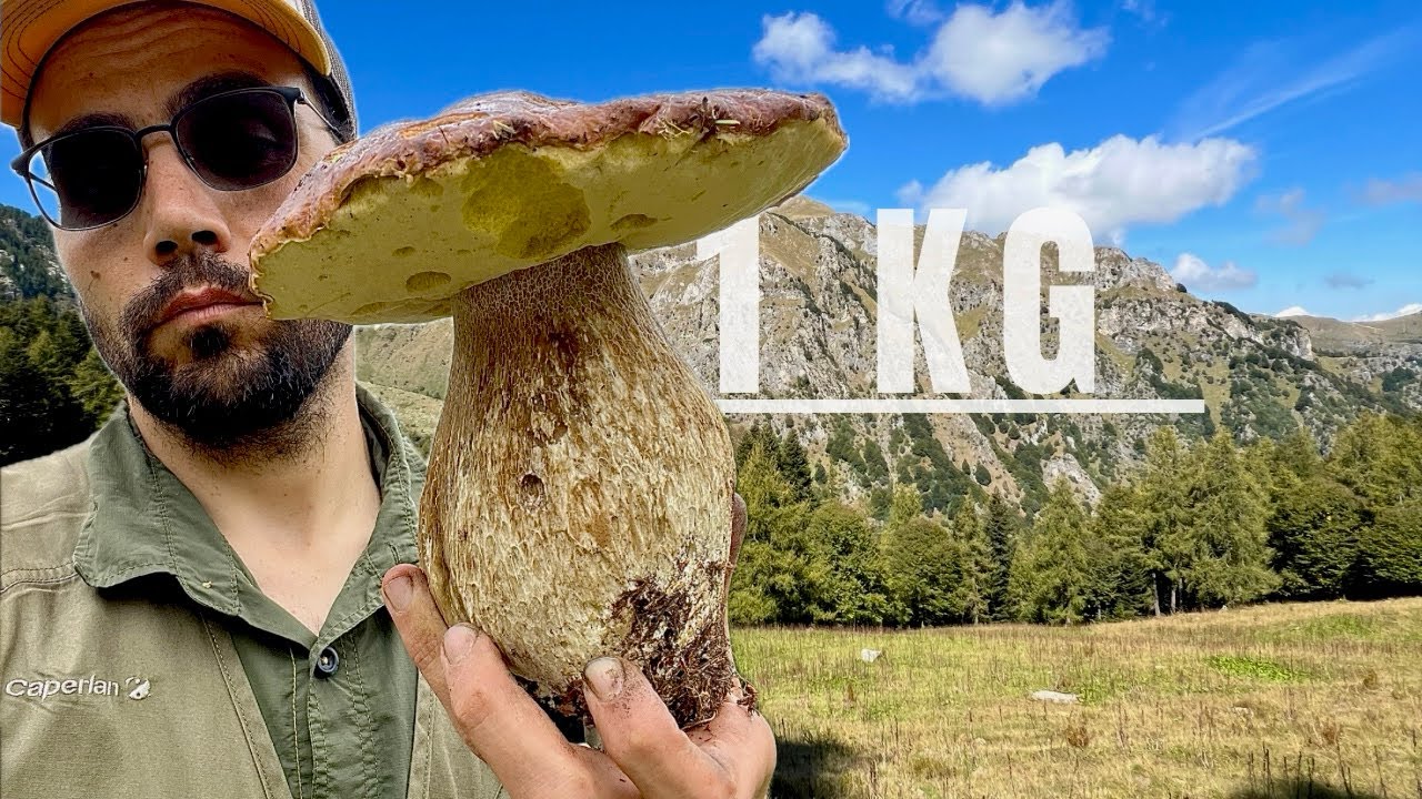 L’EDULIS DELLA STAGIONE!!! XXL ➖ PORCINI 2025.
