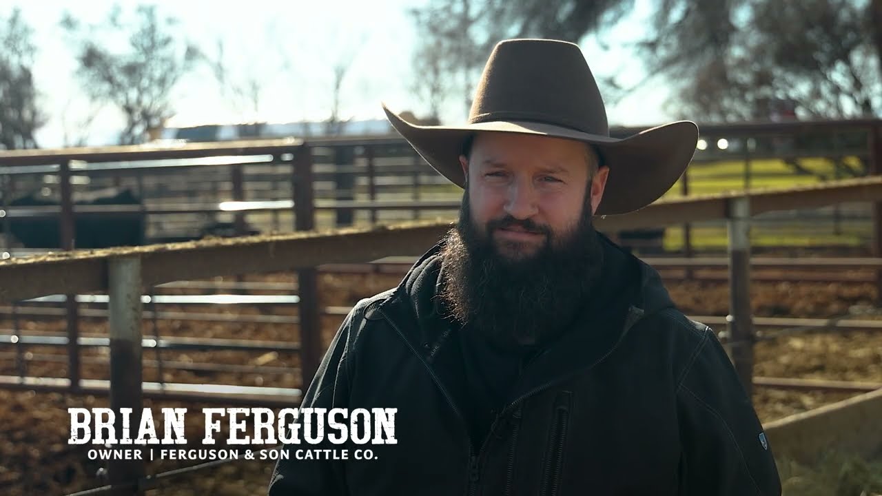 Trinity Farms - Brian Ferguson, Bull Customer Testimonial