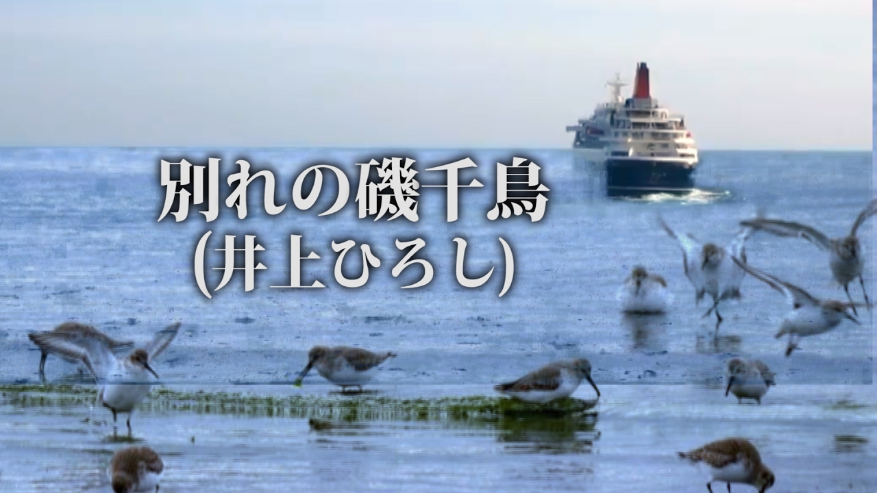 別れの磯千鳥／井上ひろし