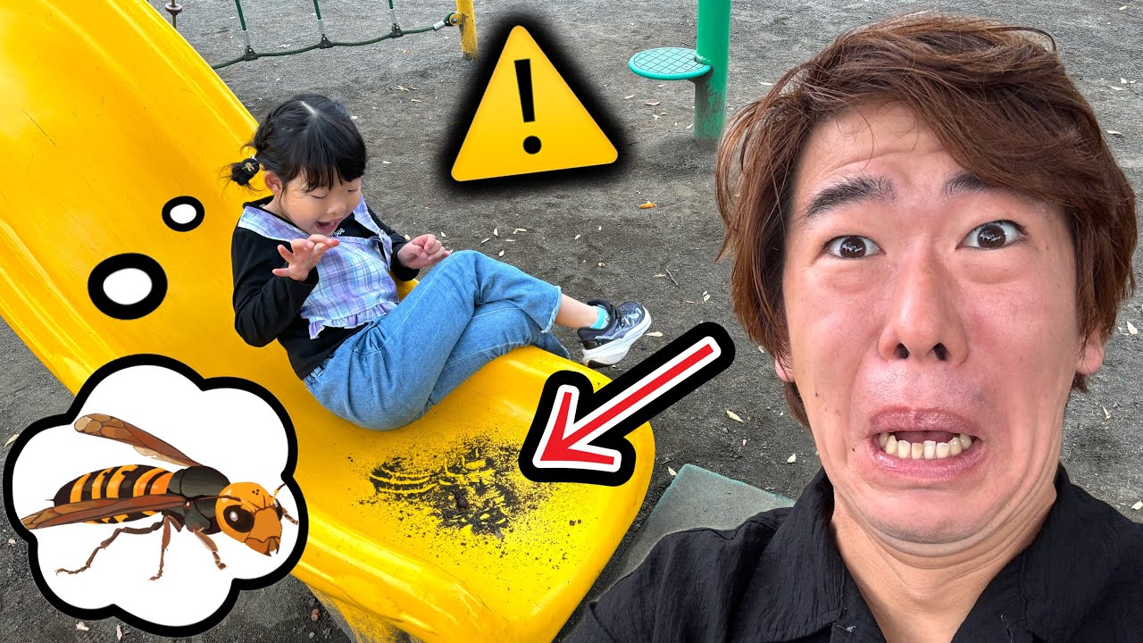 すべり台にハチ⁉️刺されないように気をつけてアスレチックを成功できるのか？？？😱💦