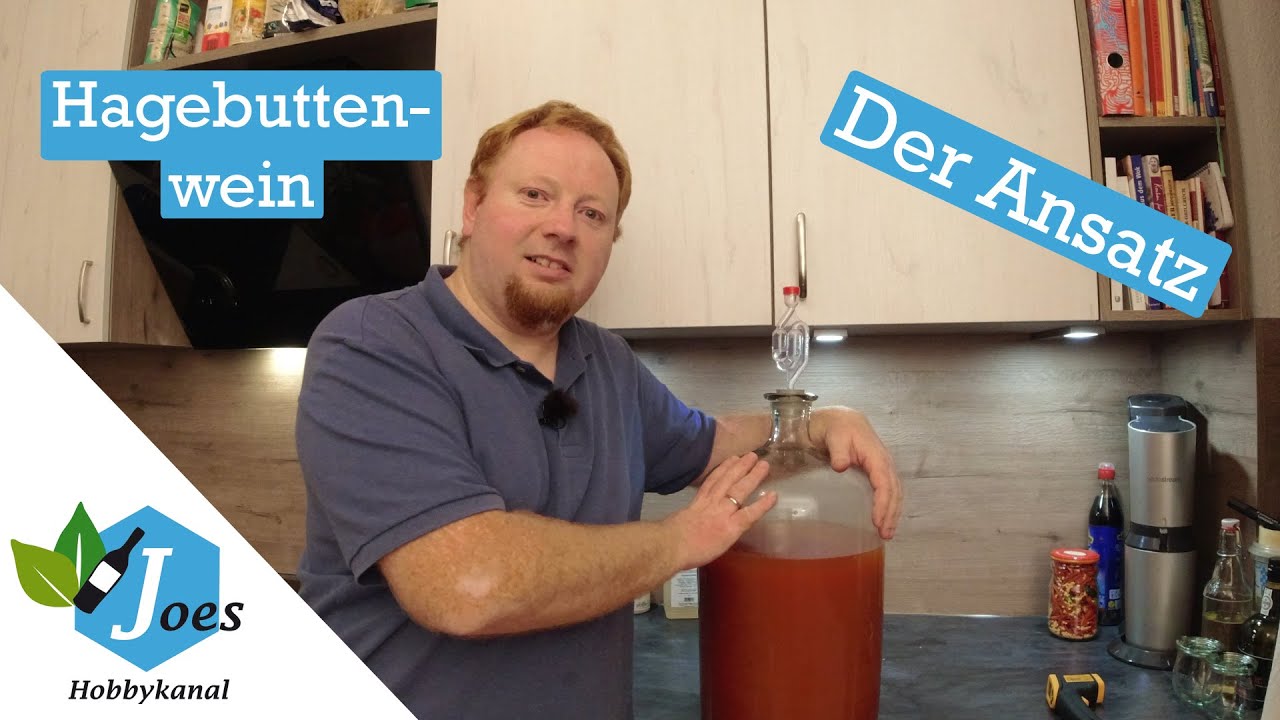 Hagebuttenwein selber machen | Teil 1: Den Wein ansetzen