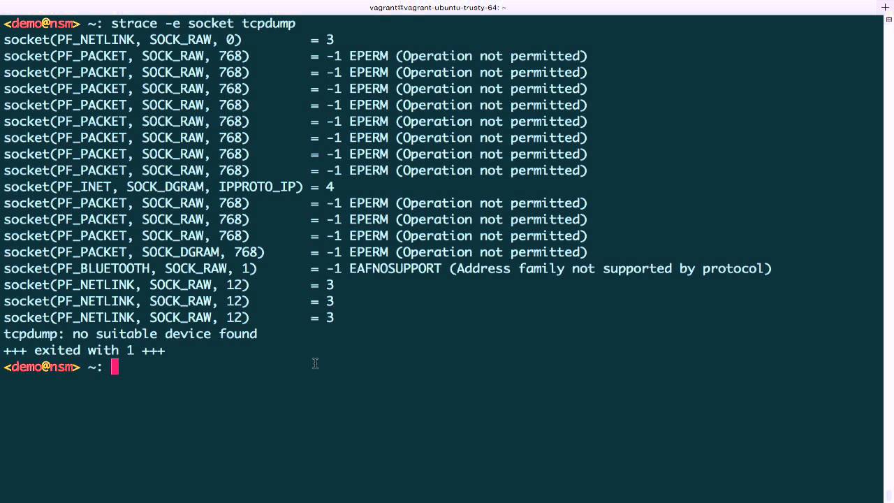Packet Capture Basics - Sockets