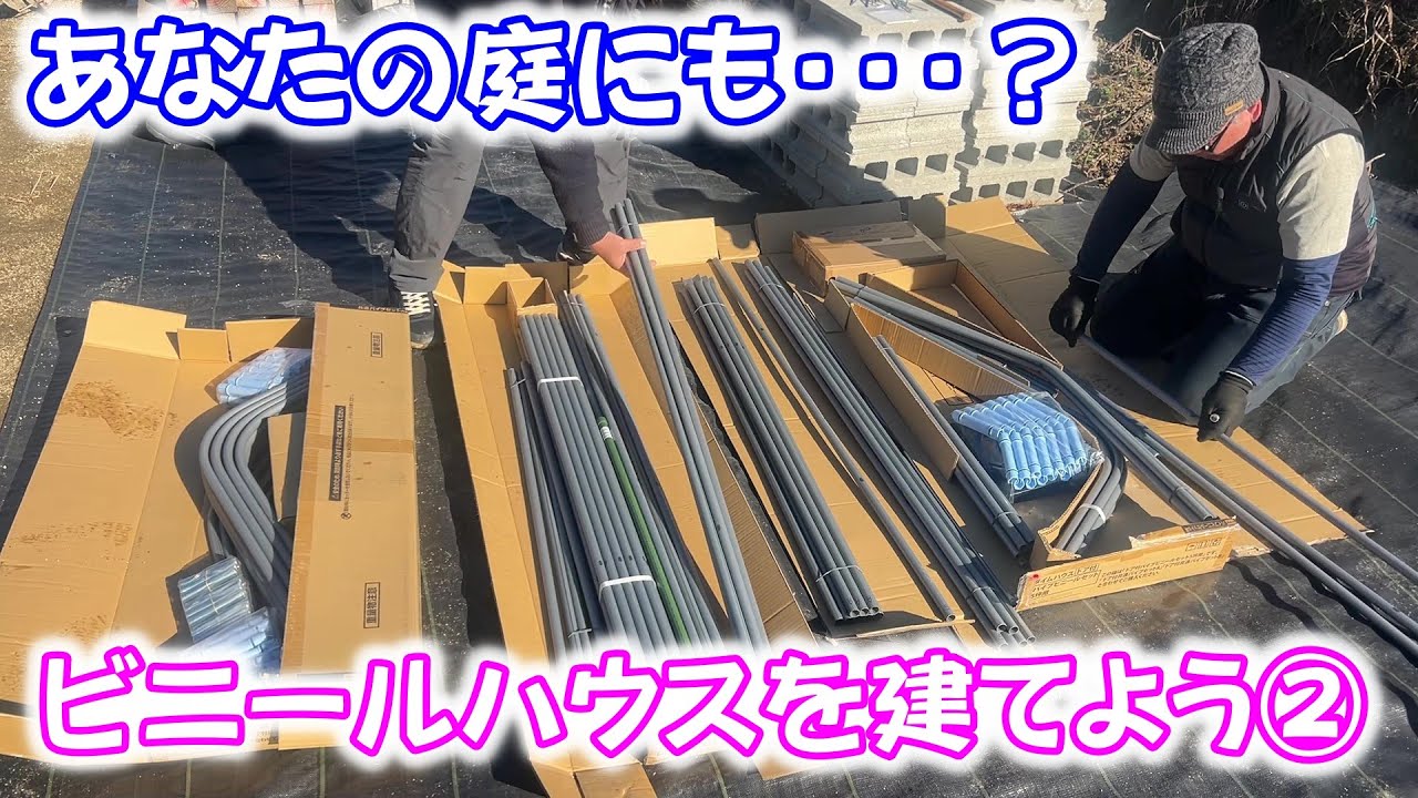 【めだか】ダイムハウスの家庭用？ビニールハウスを建てます。その②　Ｂ型おやじ　2026年　1月　10日　投稿
