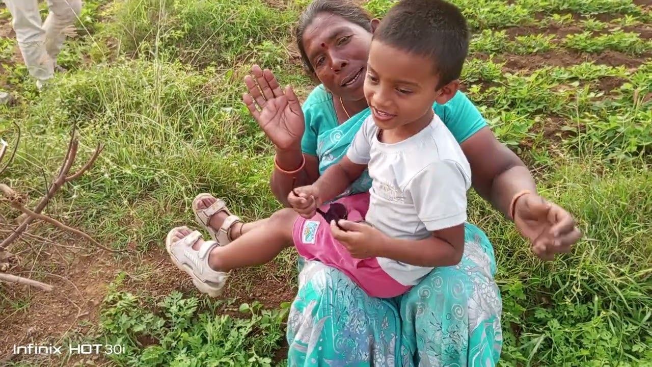 మా పొలం మరియు జొన్న చేను 